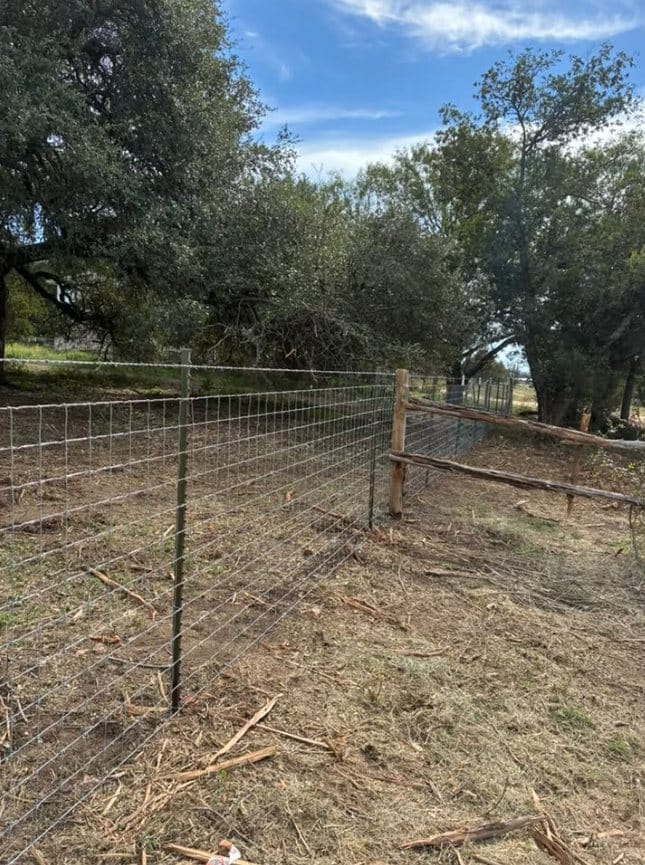 Pipe fence with wire panels along a tree line